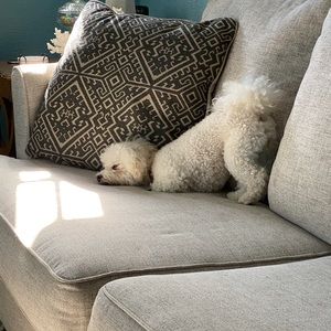 Meet your Posher, Selina